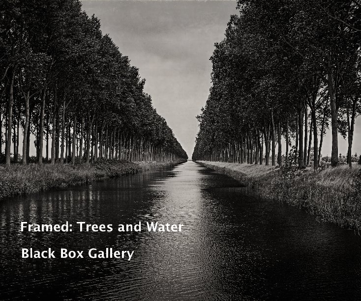 Framed: Trees and Water by Black Box Gallery