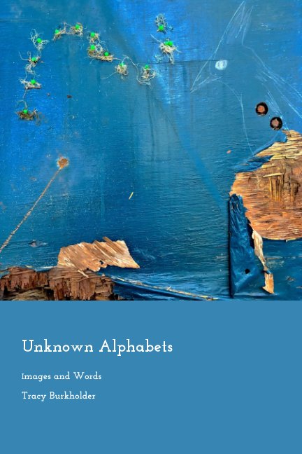 Visualizza Unknown Alphabets di Tracy Burkholder