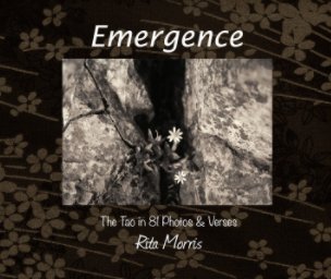 Emergence book cover