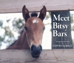 Meet Bitsy Bars book cover