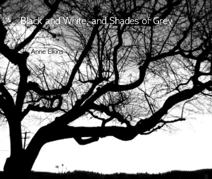 Black and White, and Shades of Grey book cover