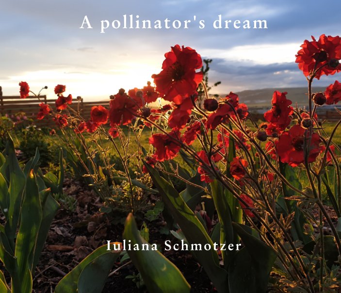 Bekijk A Pollinator's Dream op Iuliana Schmotzer
