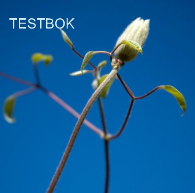 TESTBOK book cover