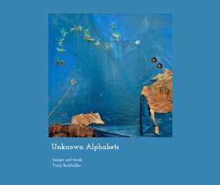 Unknown Alphabets book cover