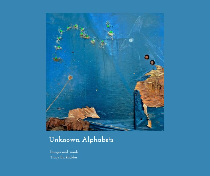 View Unknown Alphabets by Tracy Burkholder