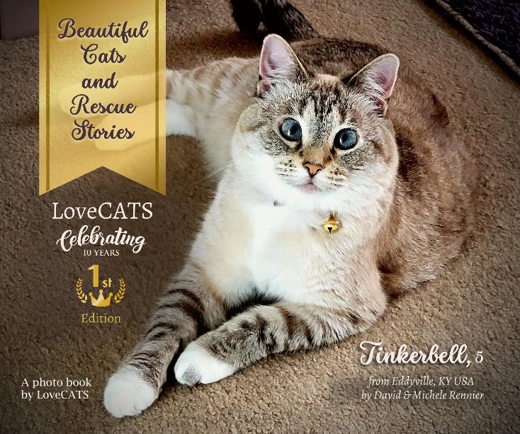 Ver Beautiful Cats and Rescue Stories First Edition por A photo book by LoveCATS