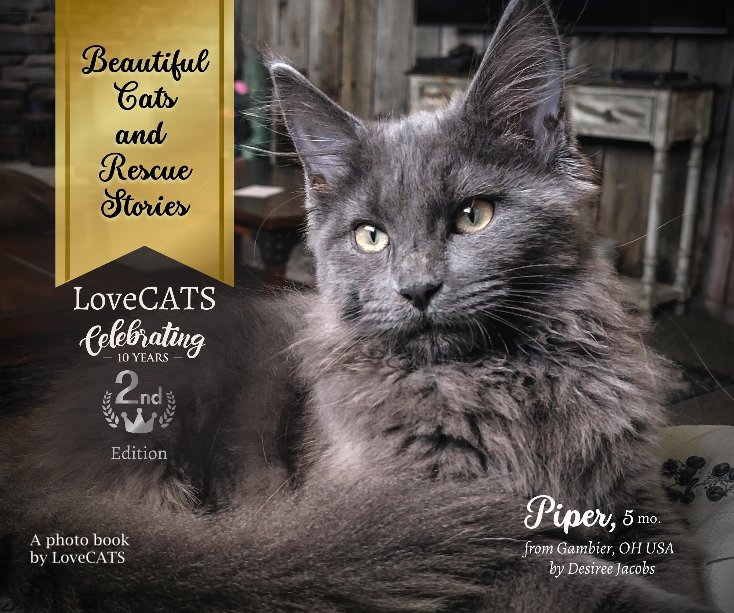 View Beautiful Cats and Rescue Stories Second Edition by A photo book by LoveCATS
