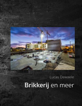 Brikkerij, het laatste werkverslag book cover