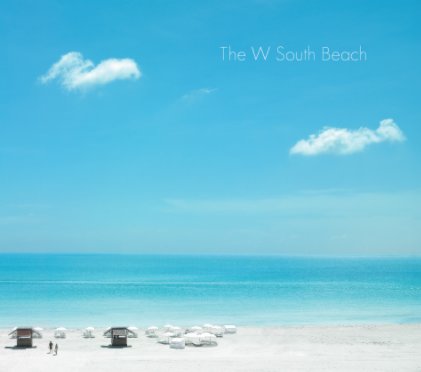 The W South Beach book cover