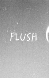 FLUSH Enormity book cover