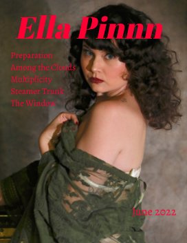 Ella Pinn Vol 1 book cover