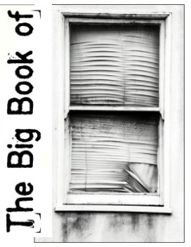 Big Book of Windows book cover