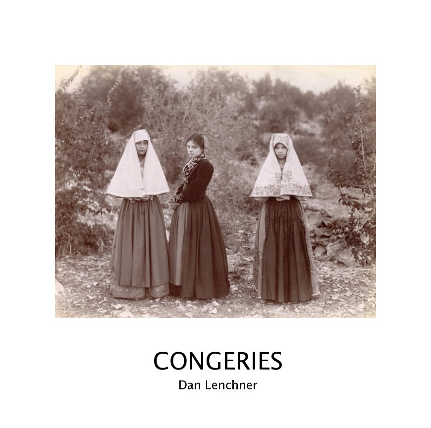 View Congeries by Dan Lenchner
