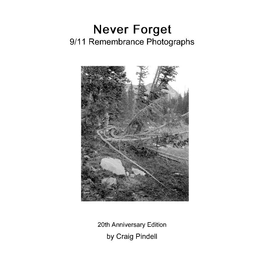 Visualizza Never Forget 9/11 Remembrance Photographs di Craig Pindell