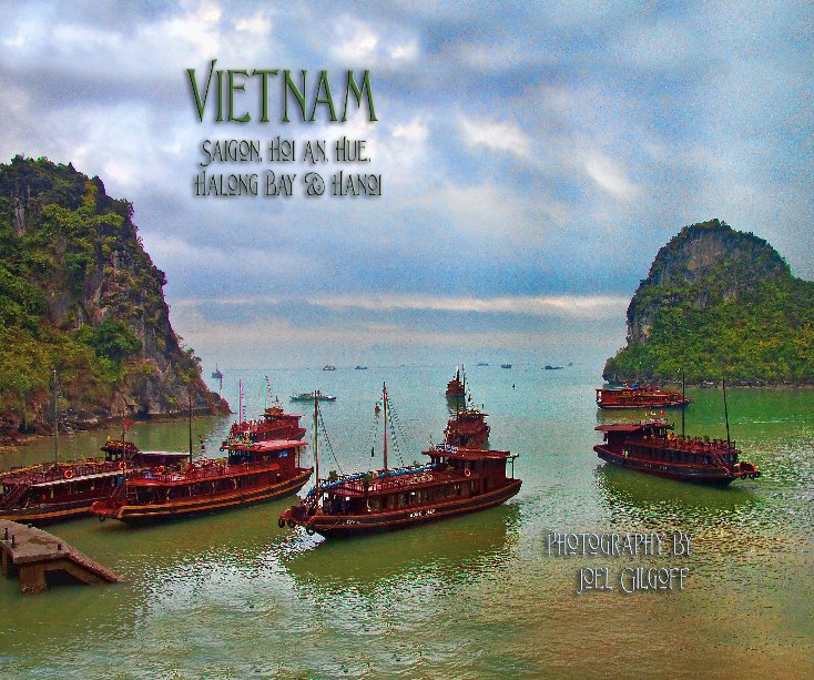 View Vietnam by Joel Gilgoff