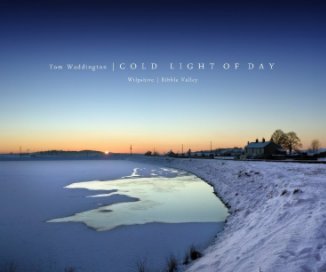 Cold Light of Day book cover