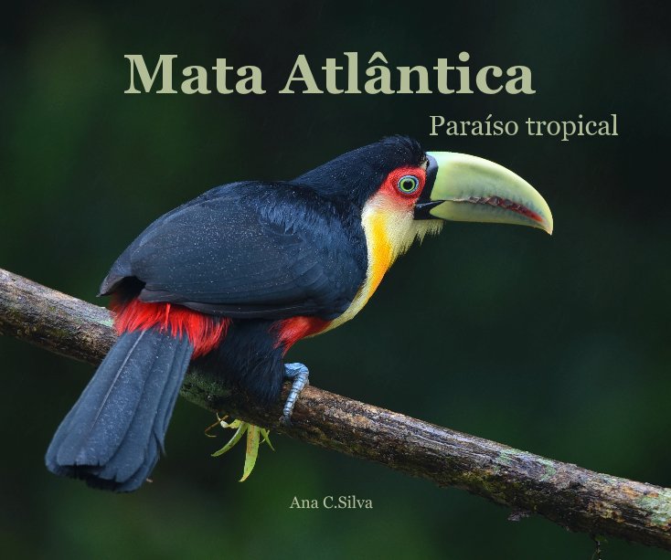 Bekijk Mata Atlântica op Ana C Silva