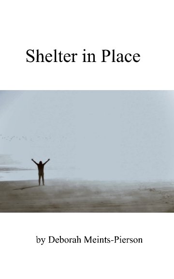 Bekijk Shelter in Place op Deborah Meints-Pierson