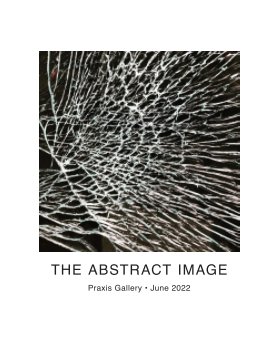 The Abstract Image book cover