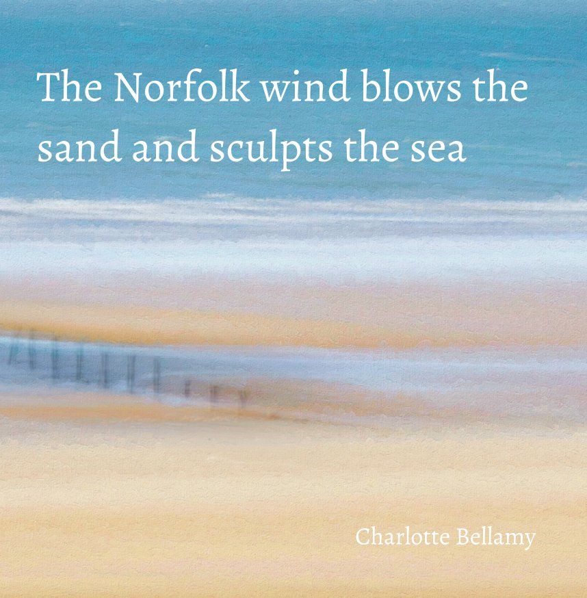 View The Norfolk wind blows the sand and sculpts the sea by Charlotte Bellamy