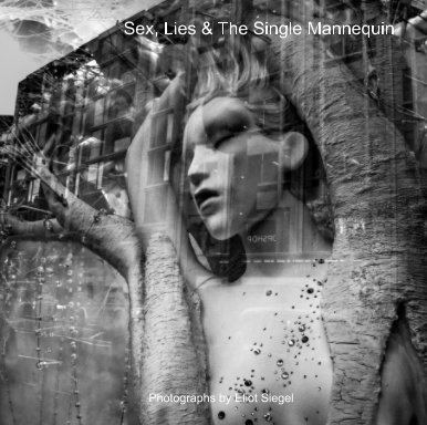 Sex, Lies and The Single Mannequin FINAL book cover