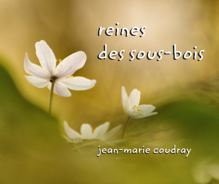 View reines des sous-bois by JEAN-MARIE COUDRAY