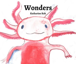 Wonders book cover
