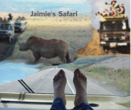 Jaimie's Safari book cover