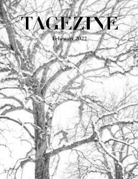 Tagezine book cover
