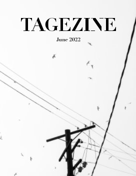 Tagezine book cover