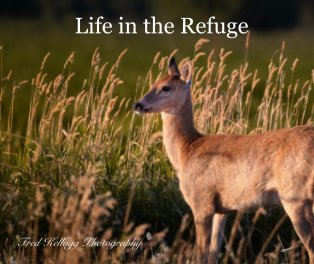 Life in the Refuge book cover