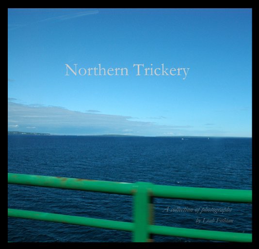 View Northern Trickery by Leah Fithian
