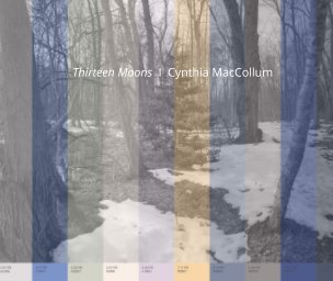Thirteen Moons book cover