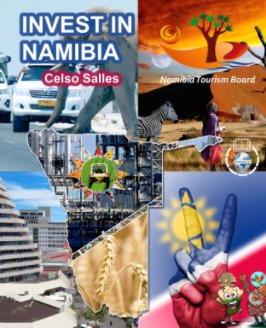 INVEST IN NAMIBIA - Visit Namibia - Celso Salles book cover