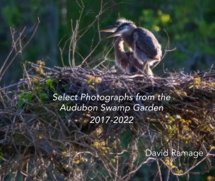 Select Photographs from the Audubon Swamp Garden book cover