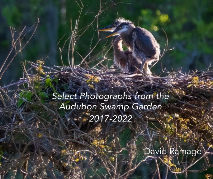 Bekijk Select Photographs from the Audubon Swamp Garden op David Ramage