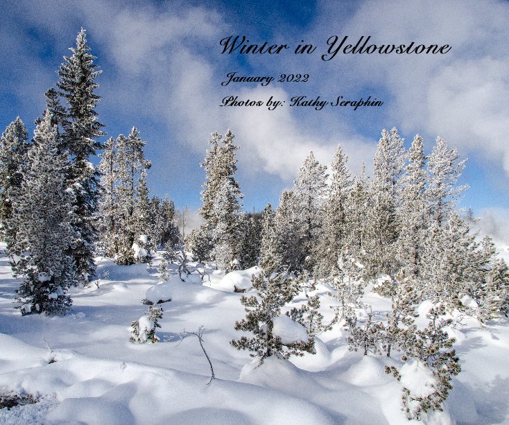 View Winter in Yellowstone by Photos by: Kathy Seraphin