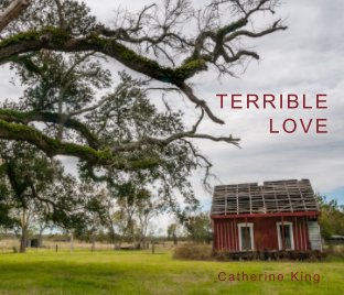Terrible Love book cover
