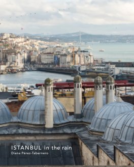 Istanbul in the rain book cover