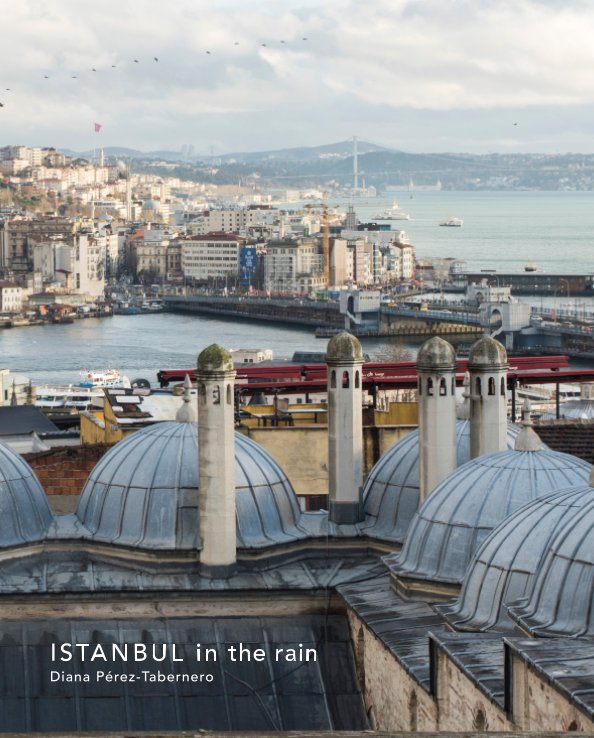 View Istanbul in the rain by Diana Pérez-Tabernero