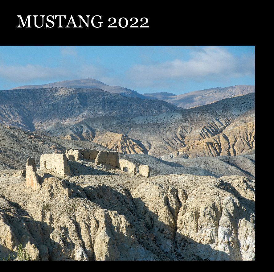 Visualizza Mustang 2022 di Riccardo Caffarelli
