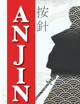 Anjin book cover