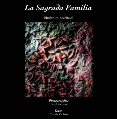 Sagrada Familia.3 book cover