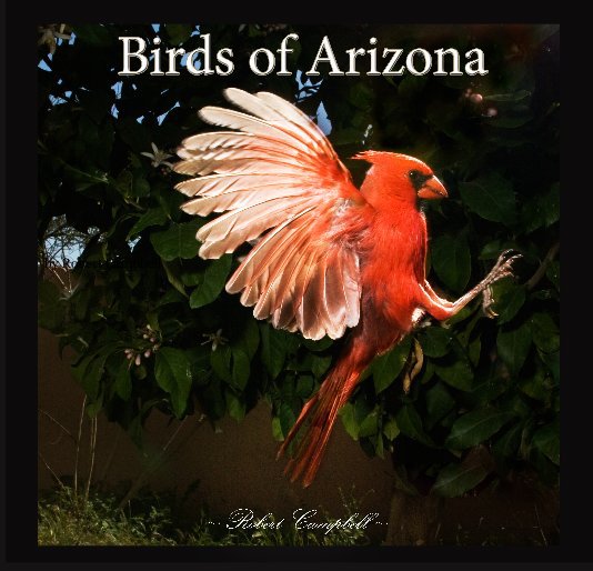 Ver Birds of Arizona por Robert Campbell