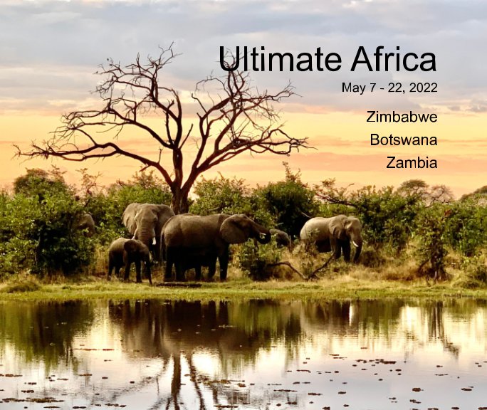 View Ultimate Africa 2022 by Sharon F. Bystran