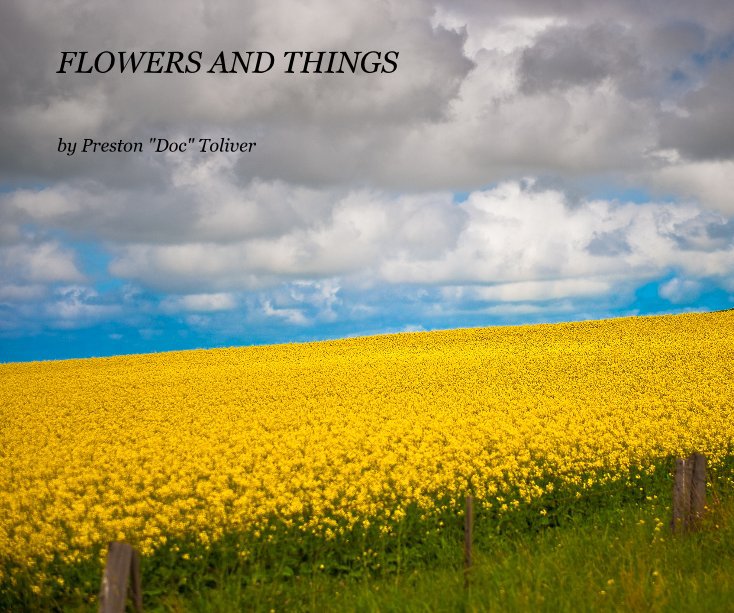 View FLOWERS AND THINGS by Preston "Doc" Toliver