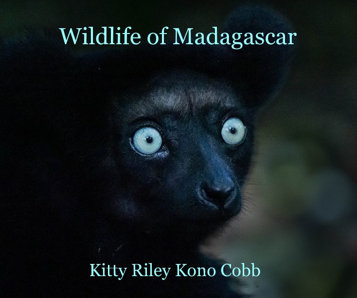 Wildlife of Madagascar nach Kitty Riley Kono Cobb anzeigen