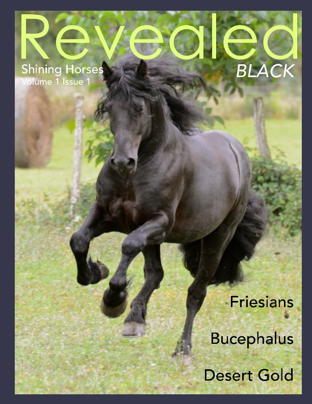 Visualizza Revealed: Shining Horses BLACK di Patricia Lee Harrigan