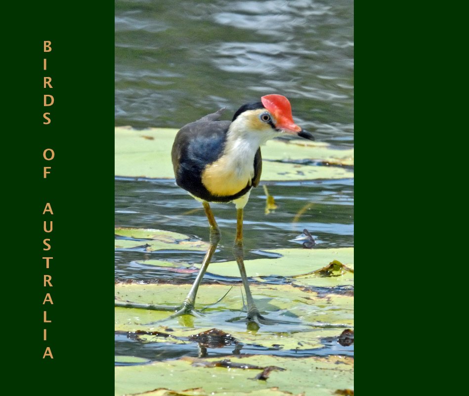 Ver Birds of Australia Vol.1 por Jill and John Innes