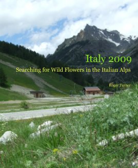 Italy 2009 book cover